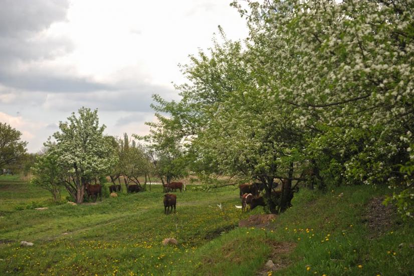 Піски з panoramio.com - Пески