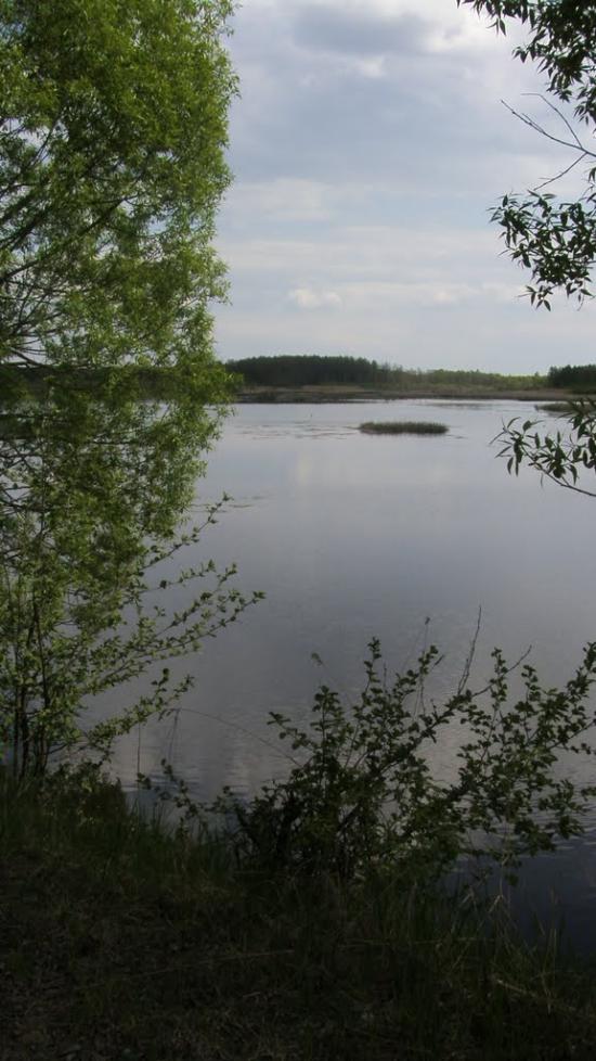 Машеве з panoramio.com - Машево