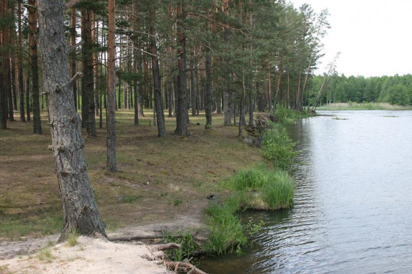 Щербатівка з panoramio.com - Щербатівка