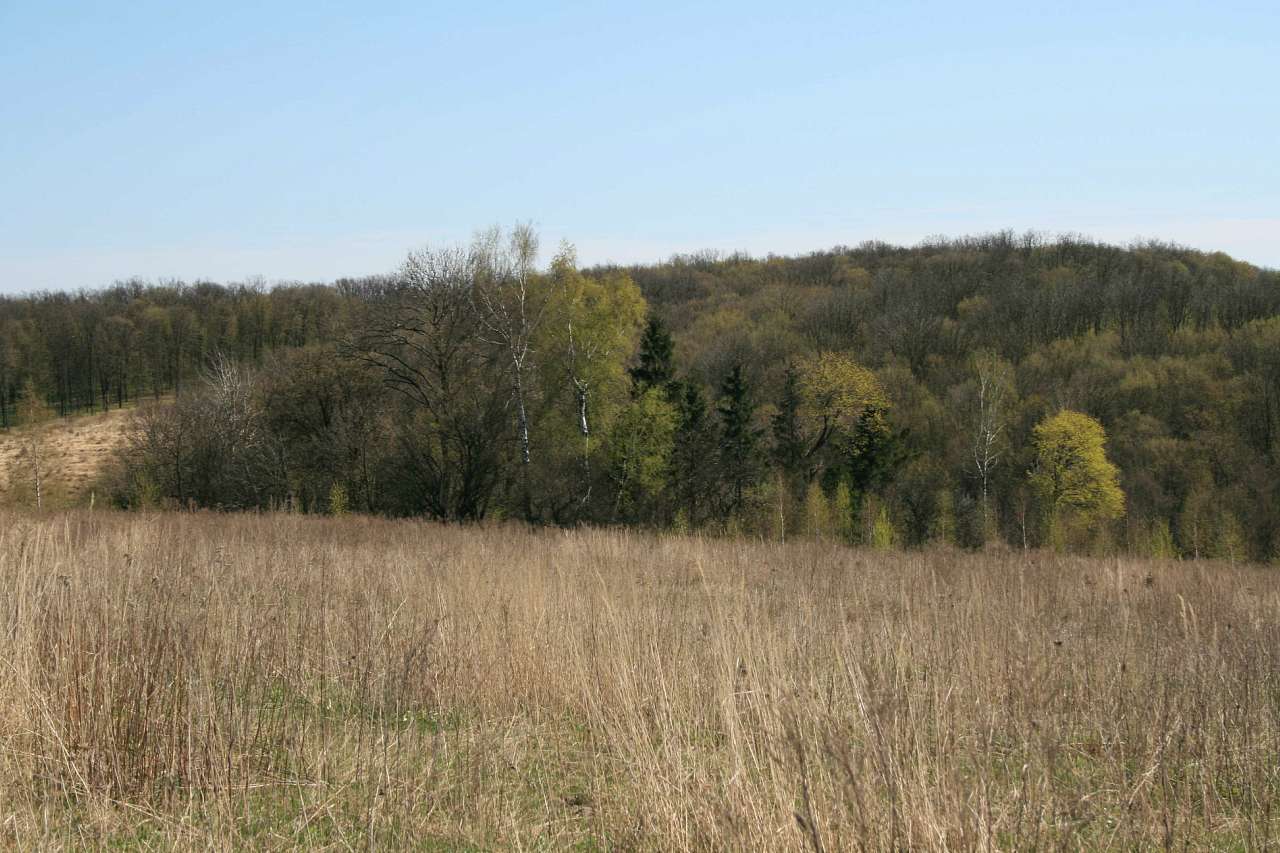 Весна на рідній землі - Кривчики