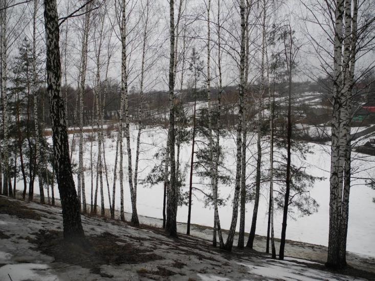 Кролевець з panoramio.com - Кролевец
