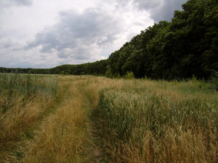 Руська Лозова з panoramio.com - Руська Лозова