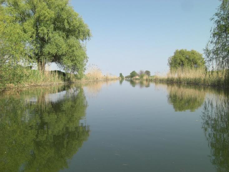 Стара Некрасівка з panoramio.com - Стара Некрасівка