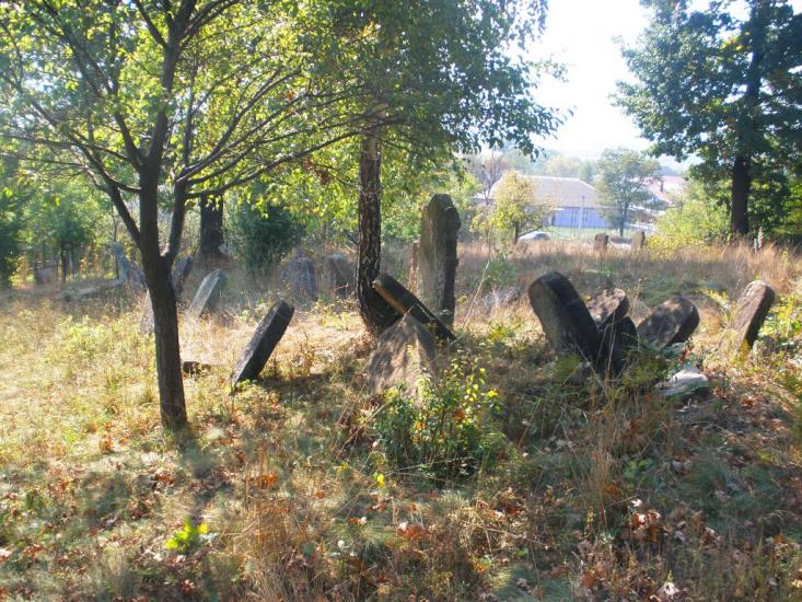 Бедевля з panoramio.com - Bedevlya