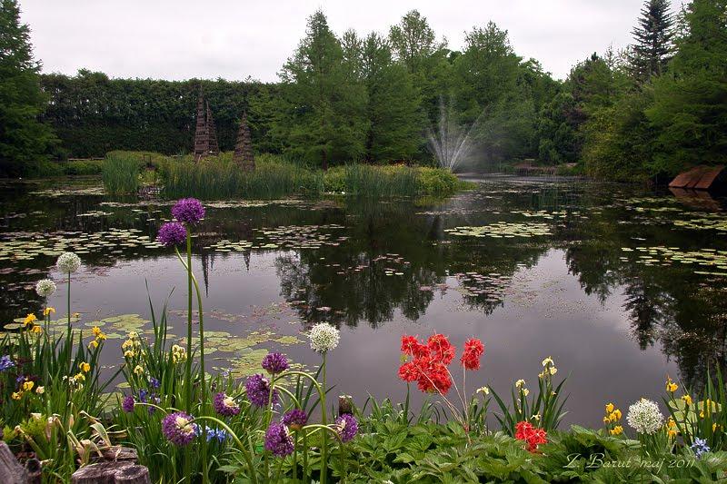 Циків з panoramio.com - Tsykiv