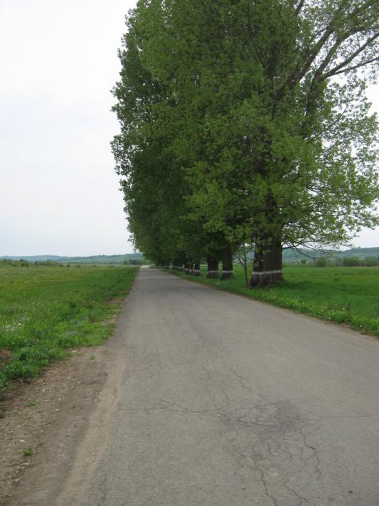 Дебеславці з panoramio.com - Debeslavtsi