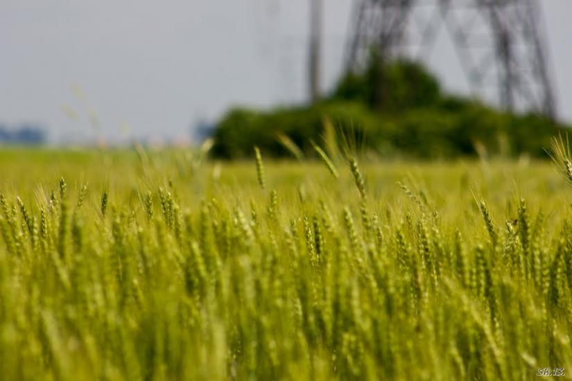 Бармаки з panoramio.com - Бармаки