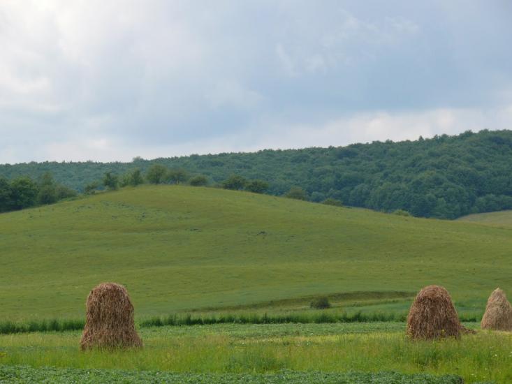 Старий Лисець з panoramio.com - Staryy Lysets