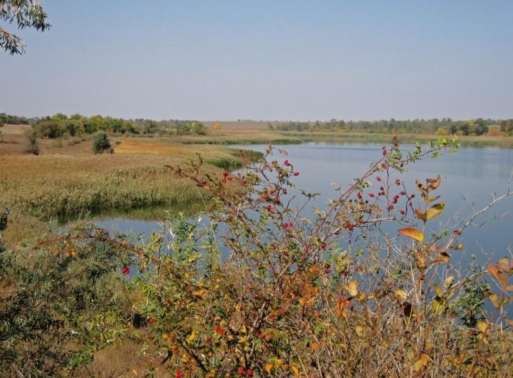 Златоустівка з panoramio.com - Златоустівка