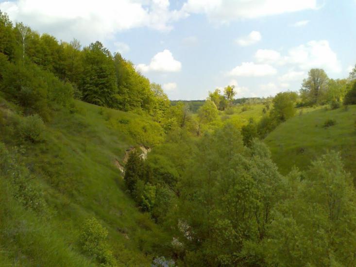 Блищанівка з panoramio.com - Блещановка