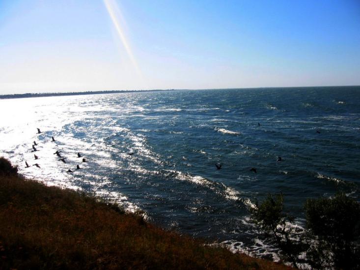 Кам'янське з panoramio.com - Кам'янське