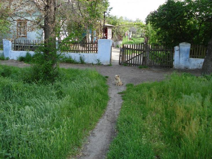 Арциз з panoramio.com - Artsyz