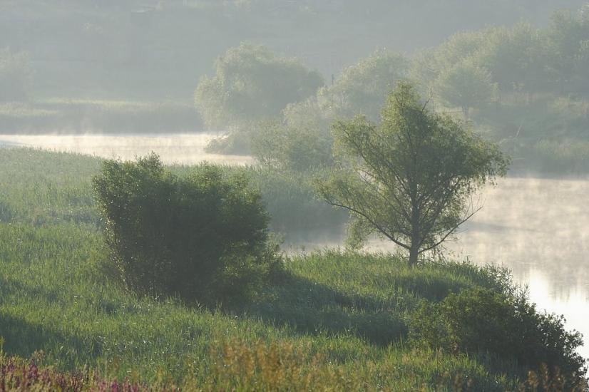 Дергачі з panoramio.com - Дергачи
