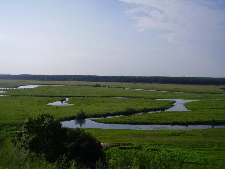 Старий Чорторийськ з panoramio.com - Старый Чарторийск