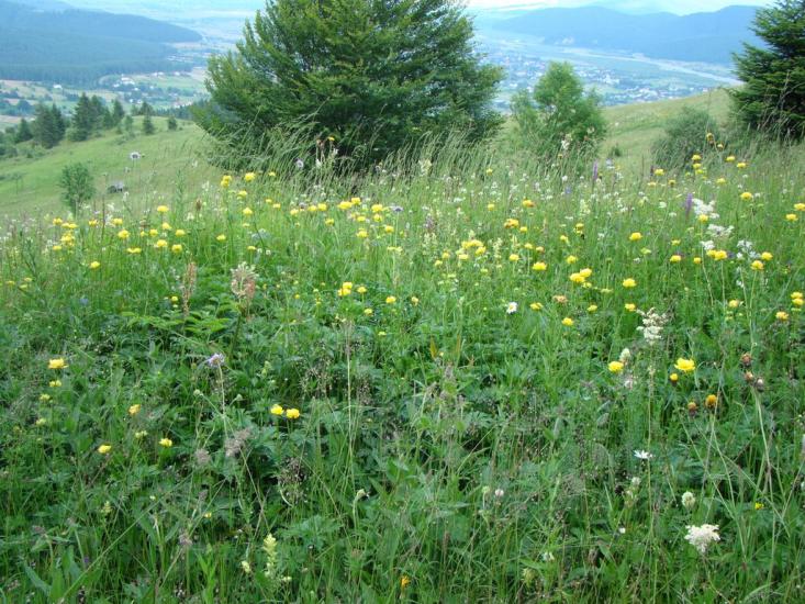 Красноїльськ з panoramio.com - Красноильск