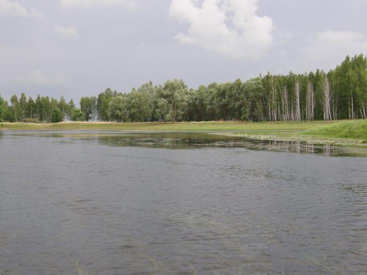 Тарасівка з panoramio.com - Тарасівка