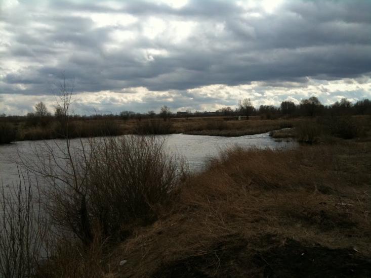 Проців з panoramio.com - Protsiv