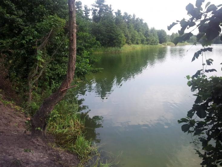 Лісники з panoramio.com - Лісники