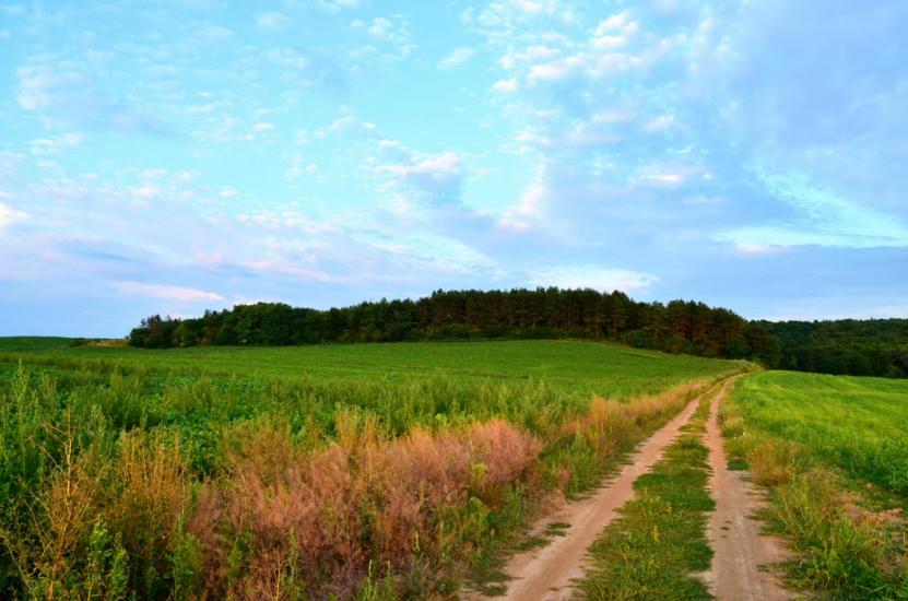 Колоденка з panoramio.com - Колоденка