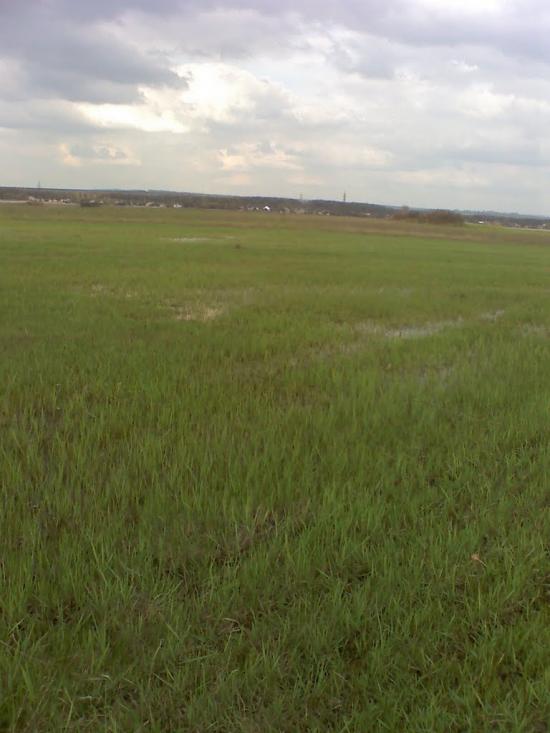 Новоайдар з panoramio.com - Новоайдар
