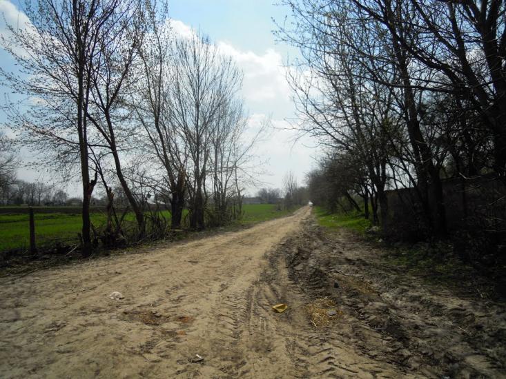 Сальниця з panoramio.com - Сальница