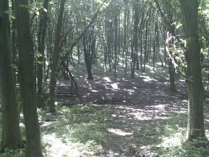 Ярмолинці з panoramio.com - Ярмолинцы