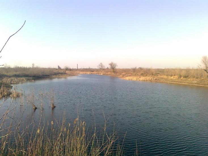 Вірівка з panoramio.com - Веровка