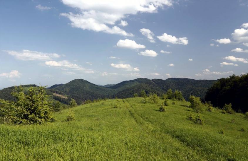 Берегомет з panoramio.com - Берегомет