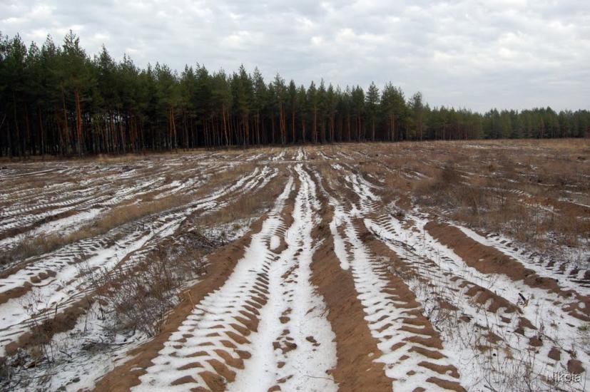 Метьолкіне з panoramio.com - Метелкино