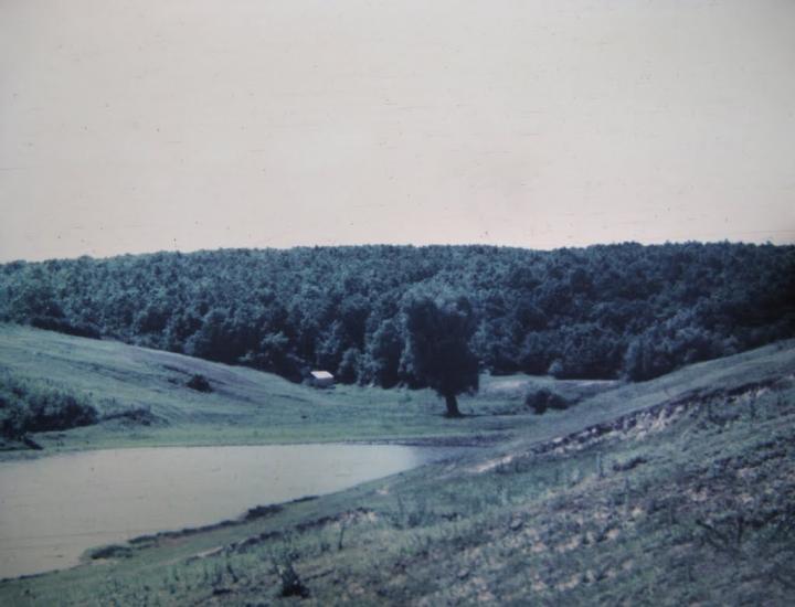 Велика Шапківка з panoramio.com - Великая Шапковка