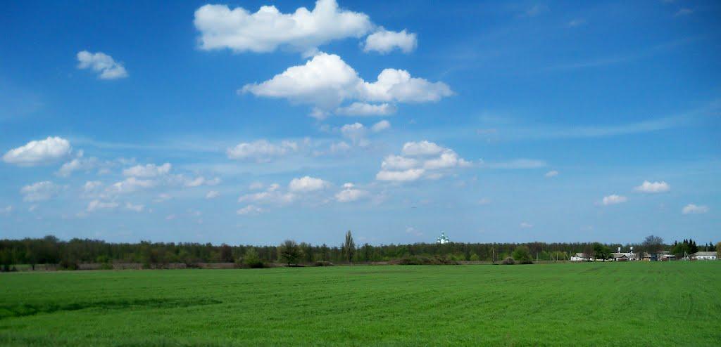 Бородаївські Хутори з panoramio.com - Бородаевские-Хутора