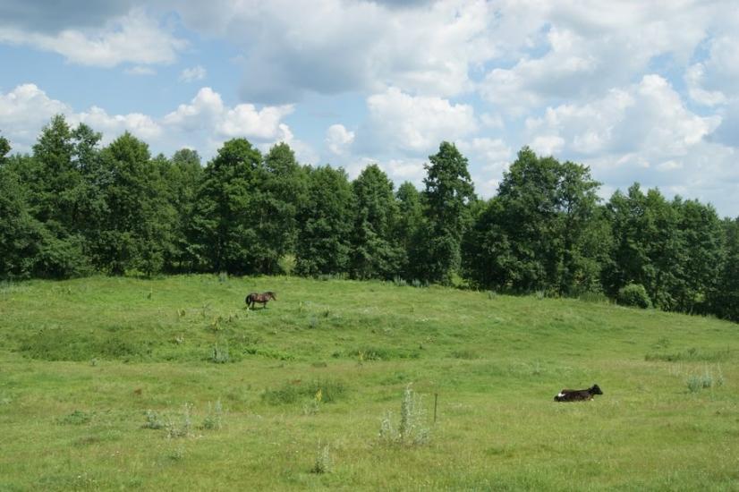 Велика Любаша з panoramio.com - Велика Любаша