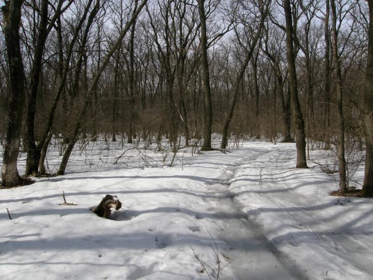 Заріг з panoramio.com - Зарог