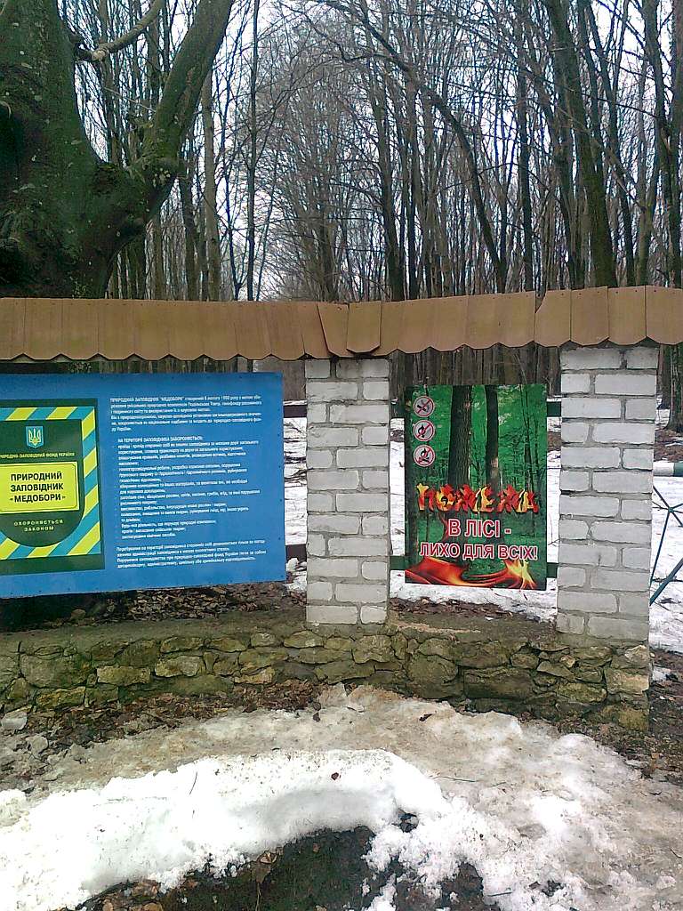 Паївка з panoramio.com - Паївка