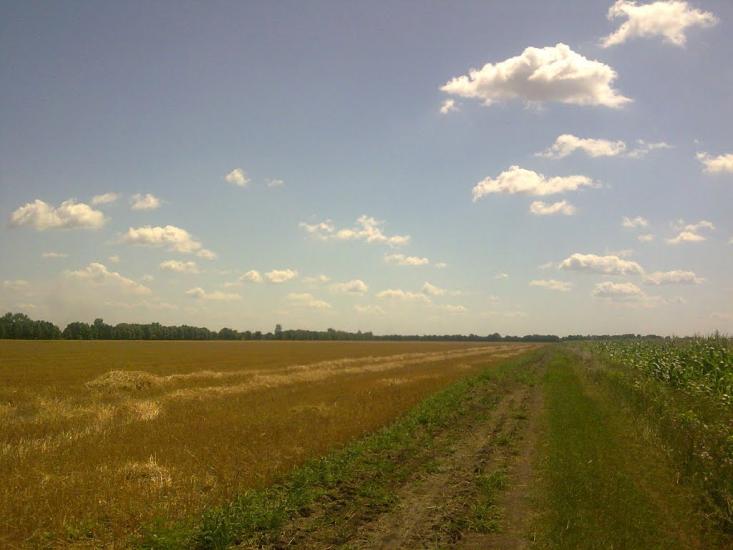 Першотравенка з panoramio.com - Первотравенка