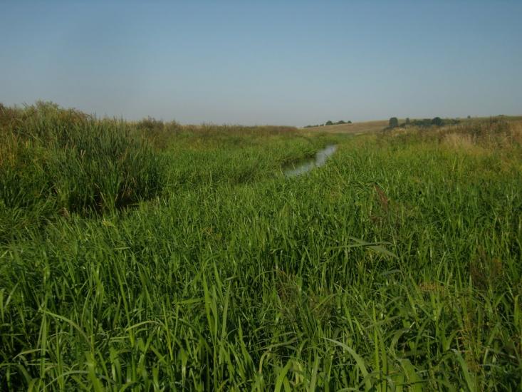 Заріцьк з panoramio.com - Заріцьк
