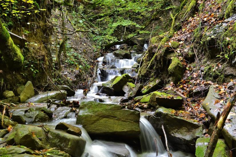 Росішка з panoramio.com - Rosishka