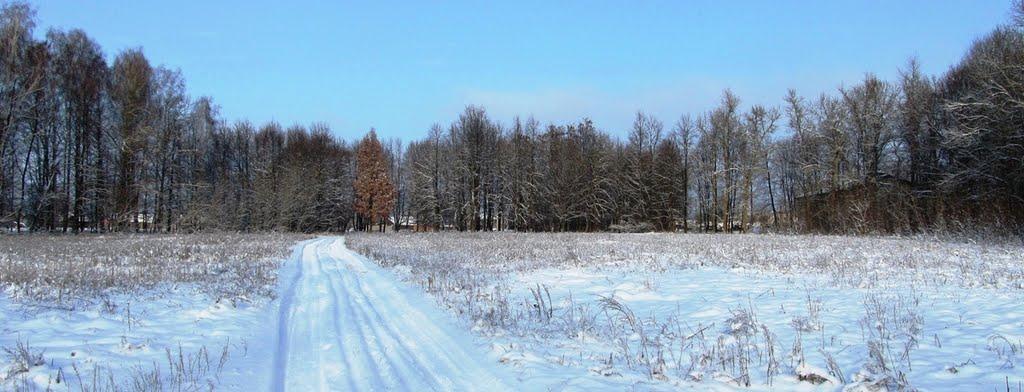 Містки з panoramio.com - Мостки