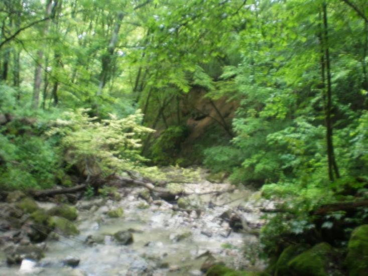 Суржинці з panoramio.com - Суржинці