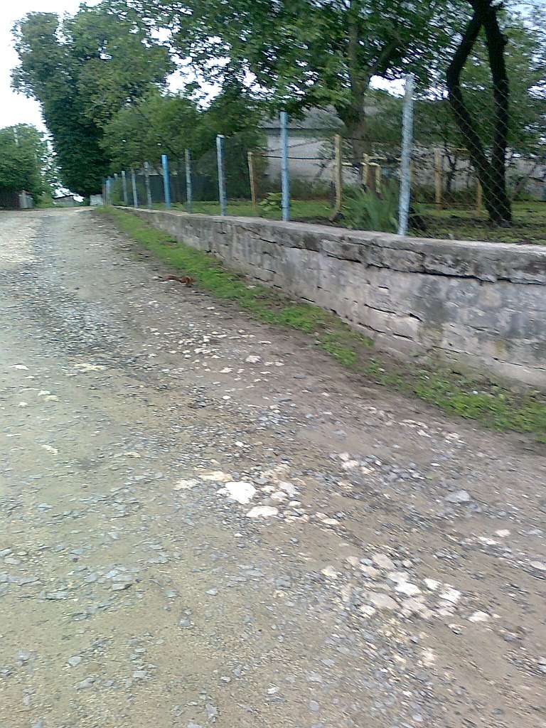Паївка з panoramio.com - Паевка