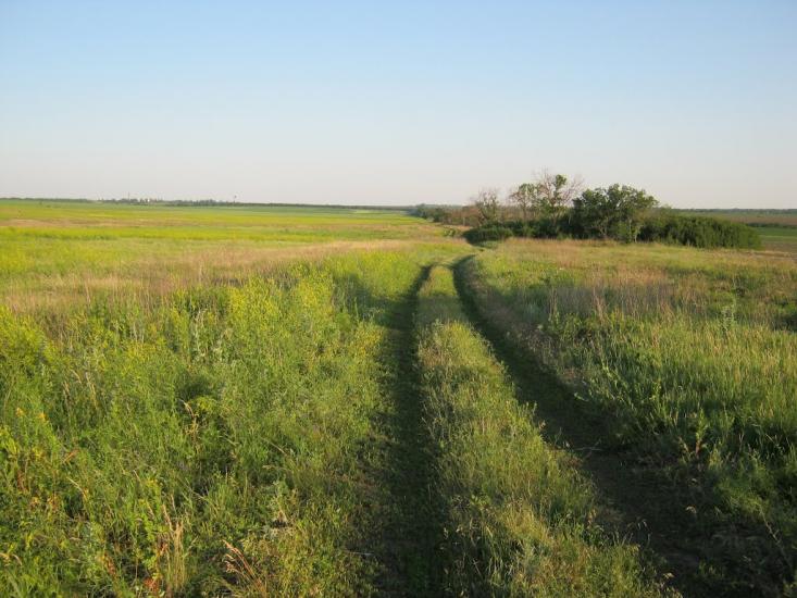 Першотравенськ з panoramio.com - Першотравенск