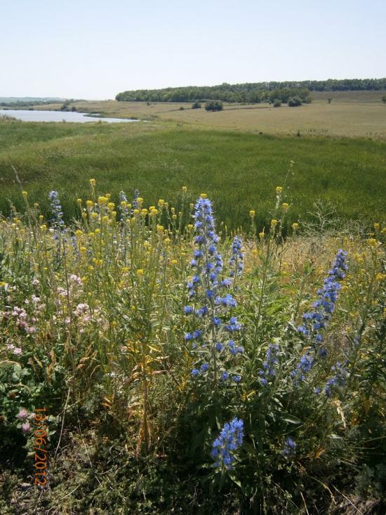 Колядівка з panoramio.com - Колядовка