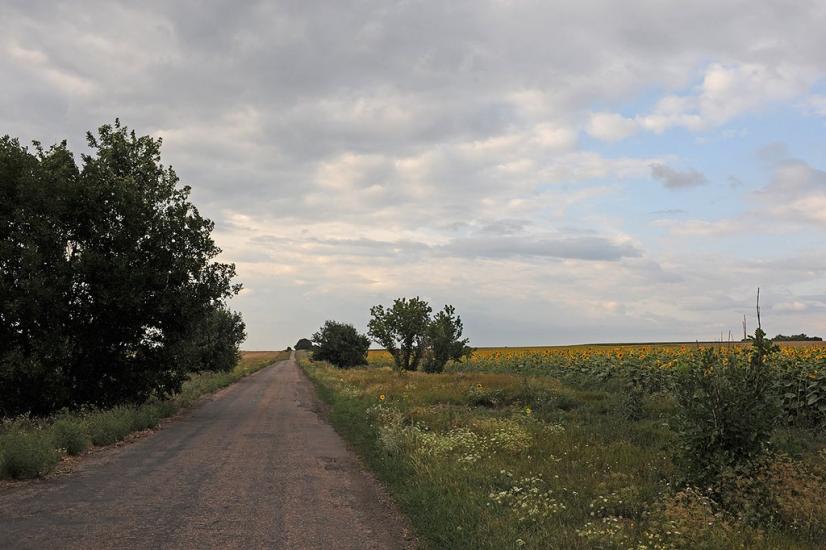 Калинове з panoramio.com - Калинове