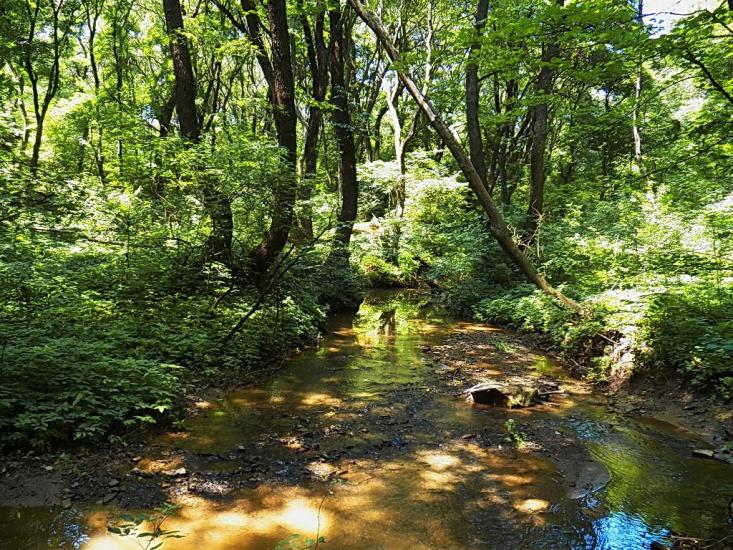 Булавинське з panoramio.com - Булавинське