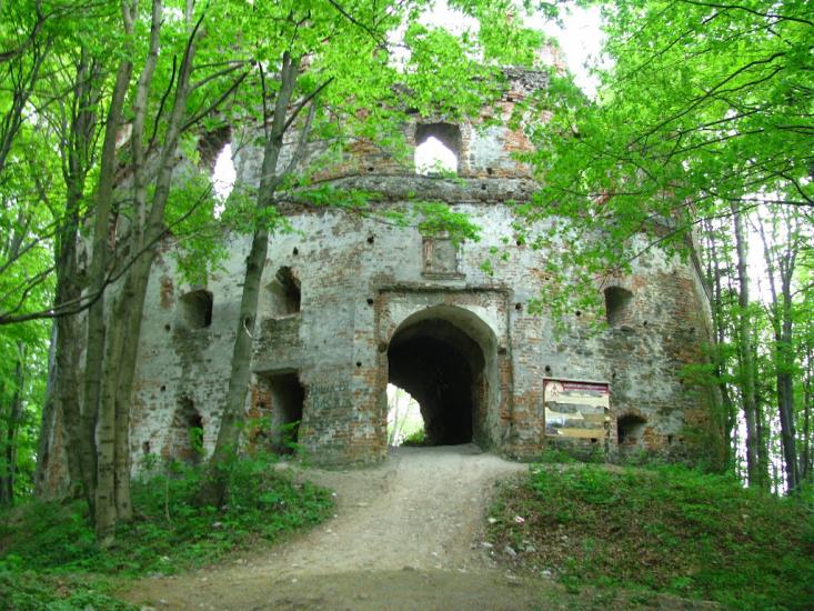 Добромиль з panoramio.com - Dobromyl