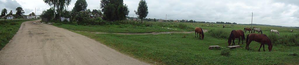 Білогір'я з panoramio.com - Білогір'я