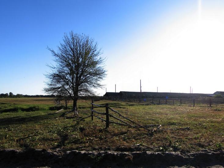 Клавдієво-Тарасове з panoramio.com - Клавдієво-Тарасове