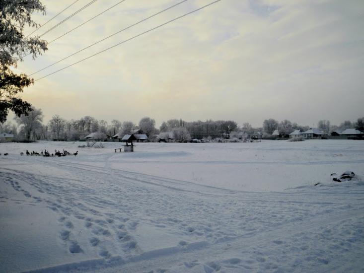 Лизогубова Слобода з panoramio.com - Лизогубова Слобода