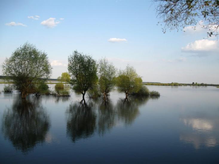 Березне з panoramio.com - Berezne