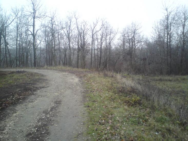 Слобідка з panoramio.com - Слобідка